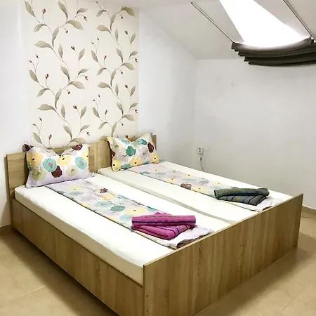 Guest house La Nelu *